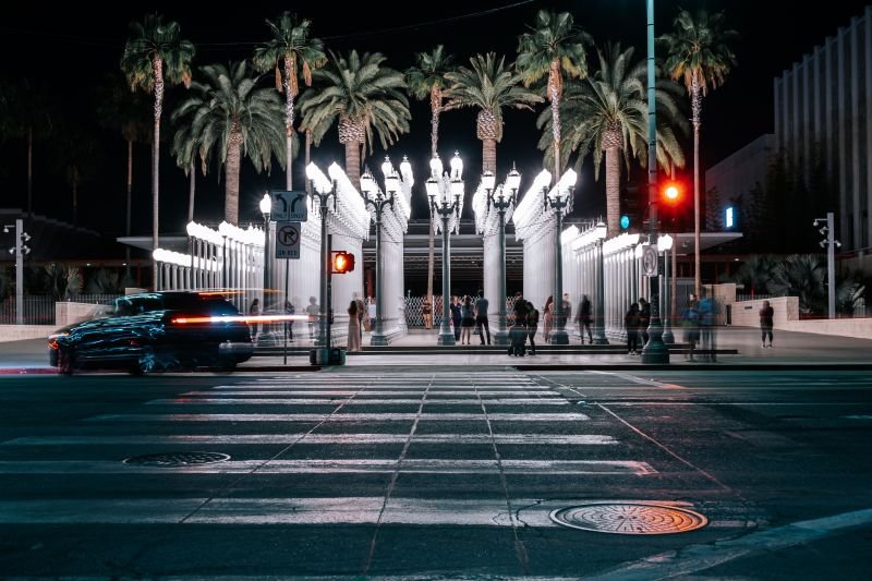 Wet Florida boulevard lined with palm trees at night, similar to the road where the John Graziano Nick Hogan accident happened.